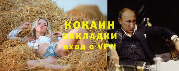 дживик Кукмор