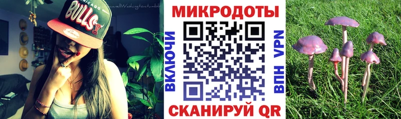 Псилоцибиновые грибы MAGIC MUSHROOMS  Купить где  Зеленодольск 