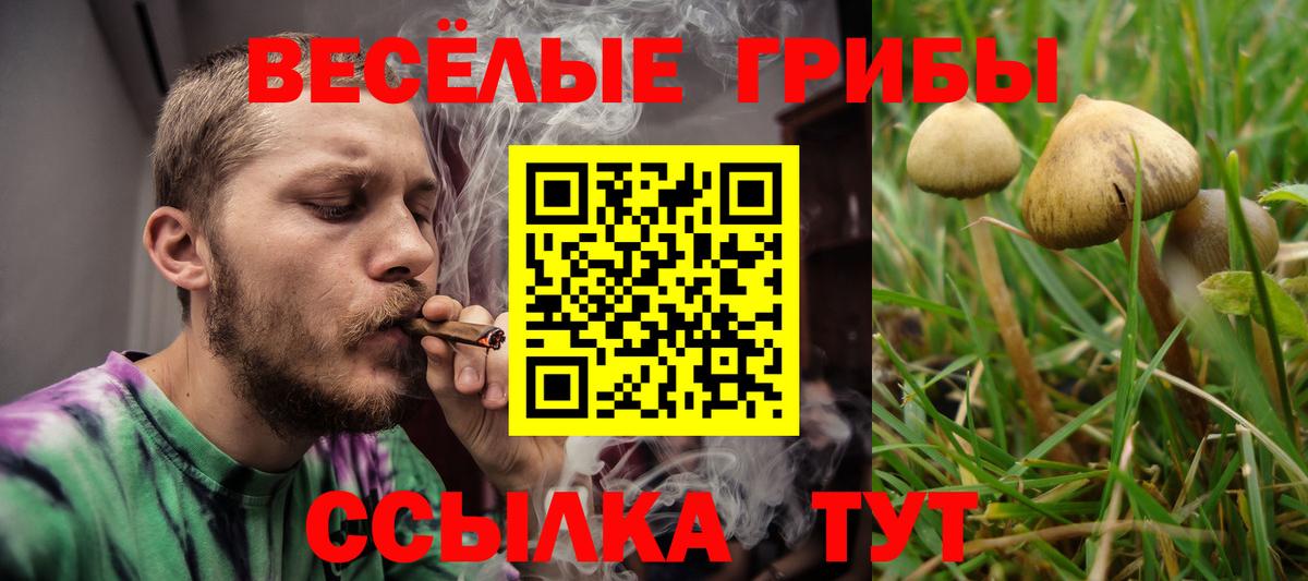 Зеленодольск  Галлюциногенные грибы ЛСД  Вход с VPN 