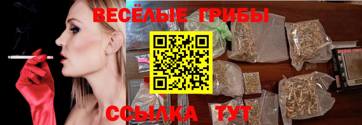 Галлюциногенные грибы ЛСД Зеленодольск